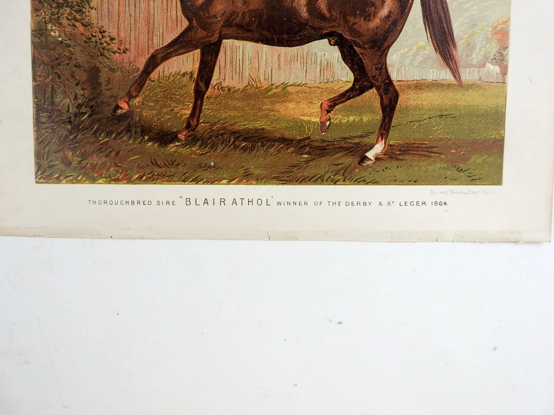 1873 Equine Chromolithograph Blairathol
