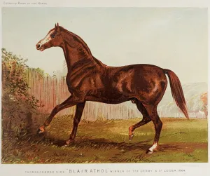 1873 Equine Chromolithograph Blairathol