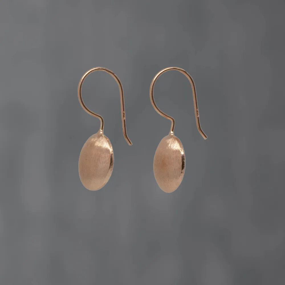 Brushed Circle Drop Earrings