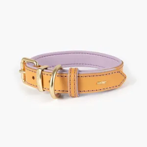 EzyDog Oxford Leather Dog Collar Blonde and Lilac Medium^^^
