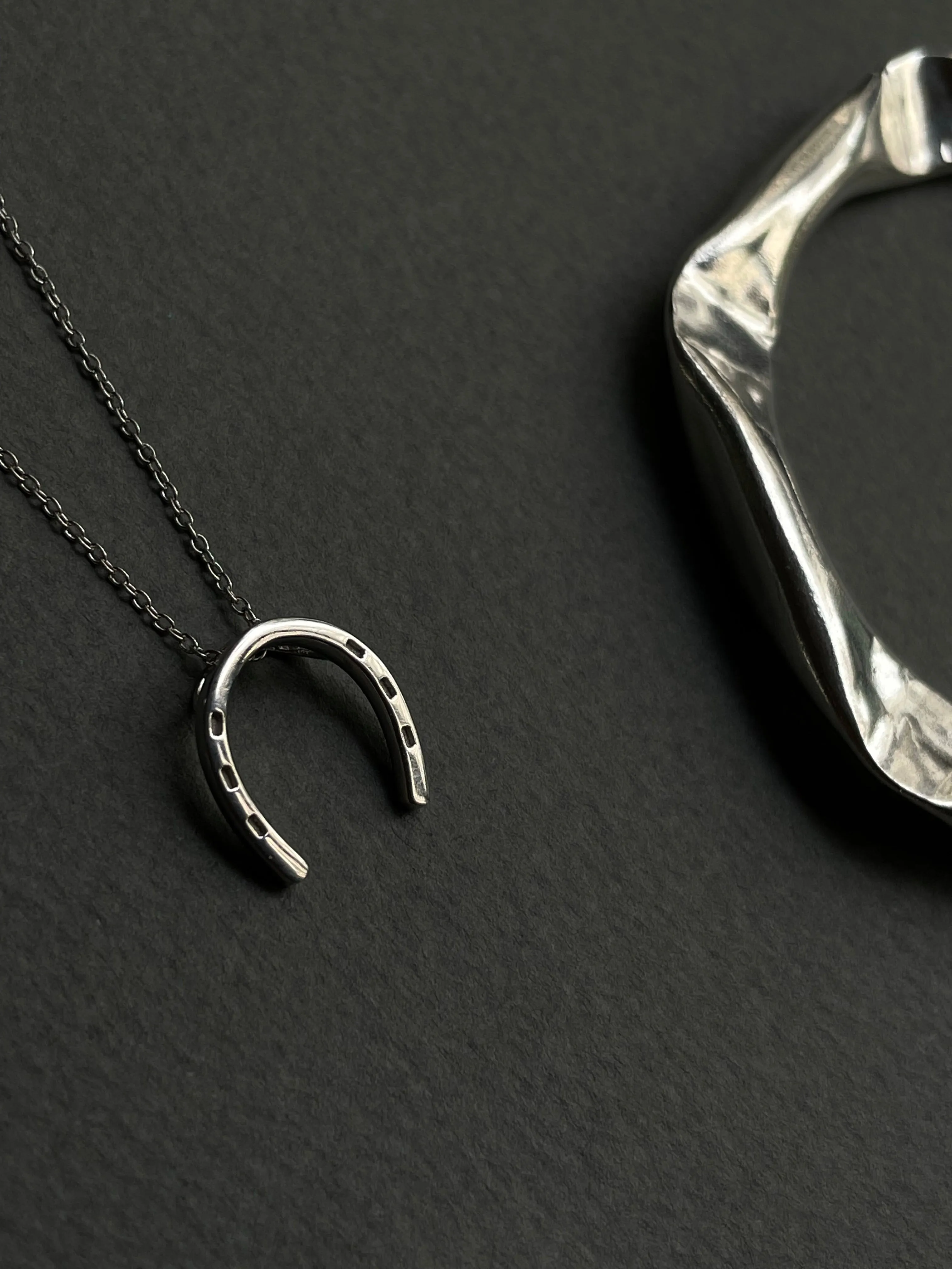 Horseshoe Necklace in Silver Tone