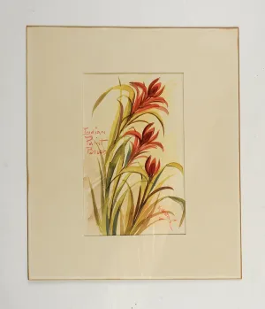 Indian Paint Brush Watercolor