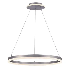 Recovery 24 in. LED Pendant Light Brushed Nickel finish