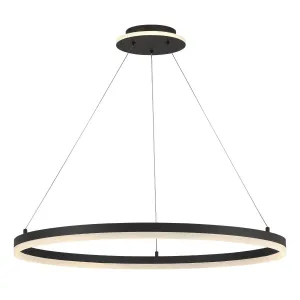 Recovery 32 in. LED Pendant Light Matte Black finish